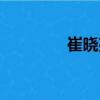 崔曉亮（關(guān)于崔曉亮簡介）