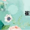 崔斌（關(guān)于崔斌簡(jiǎn)介）