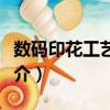 數(shù)碼印花工藝教程（關(guān)于數(shù)碼印花工藝教程簡介）