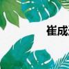 崔成造（關于崔成造簡介）