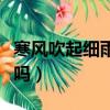 寒風(fēng)吹起細(xì)雨淋漓是什么歌（這首歌你還記得嗎）