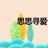 思思尋愛記（關于思思尋愛記介紹）