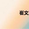 崔文濤（關(guān)于崔文濤簡(jiǎn)介）