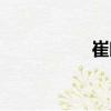 崔曉（關(guān)于崔曉簡(jiǎn)介）