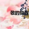 敬的拼音怎么寫（敬的拼音如何寫）