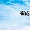 崔成旭（關(guān)于崔成旭簡(jiǎn)介）