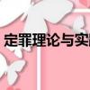 定罪理論與實踐（關(guān)于定罪理論與實踐介紹）