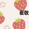 崔敬之（關(guān)于崔敬之簡(jiǎn)介）