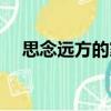 思念遠方的家（關于思念遠方的家介紹）