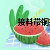 接料帶銅扣（關(guān)于接料帶銅扣簡介）