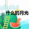 什么的月光（意義列舉什么的月光填詞）