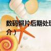 數(shù)碼照片后期處理全攻略（關(guān)于數(shù)碼照片后期處理全攻略簡介）