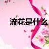 流花是什么意思（流花具體是什么意思）
