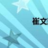 崔文藻（關(guān)于崔文藻簡(jiǎn)介）