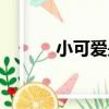 小可愛是什么（小可愛的意思）
