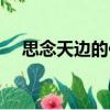 思念天邊的你（關于思念天邊的你介紹）