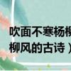 吹面不寒楊柳風(fēng)的上一句是什么（吹面不寒楊柳風(fēng)的古詩）