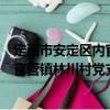 定西市安定區(qū)內(nèi)官營(yíng)鎮(zhèn)林川村黨支部（關(guān)于定西市安定區(qū)內(nèi)官營(yíng)鎮(zhèn)林川村黨支部介紹）