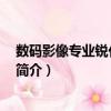 數(shù)碼影像專業(yè)銳化 典藏版（關(guān)于數(shù)碼影像專業(yè)銳化 典藏版簡介）