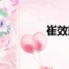 崔效輝（關(guān)于崔效輝簡(jiǎn)介）