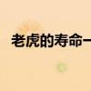 老虎的壽命一般多少年（老虎的壽命介紹）
