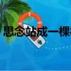 思念站成一棵樹（關(guān)于思念站成一棵樹介紹）
