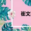 崔文燕（關(guān)于崔文燕簡(jiǎn)介）