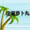 定襄蘿卜丸子（關(guān)于定襄蘿卜丸子介紹）