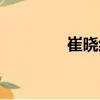 崔曉紅（關(guān)于崔曉紅簡介）
