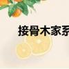 接骨木家系1（關(guān)于接骨木家系1簡介）