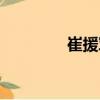 崔援軍（關(guān)于崔援軍簡介）