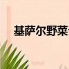 基薩爾野菜介紹（基薩爾野菜怎么采集）