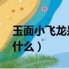 玉面小飛龍是什么意思（玉面小飛龍意思 是什么）