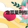 定罪量刑指南（關(guān)于定罪量刑指南介紹）