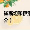 崔斯坦和伊索爾德（關(guān)于崔斯坦和伊索爾德簡(jiǎn)介）