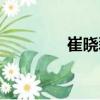 崔曉磊（關(guān)于崔曉磊簡介）