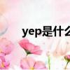 yep是什么梗（網(wǎng)絡(luò)語(yǔ)yep是什么梗）