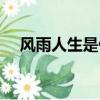 風(fēng)雨人生是什么意思（風(fēng)雨人生的意思）