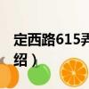 定西路615弄小區(qū)（關(guān)于定西路615弄小區(qū)介紹）
