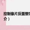 控制像片反面整飾和注記（關(guān)于控制像片反面整飾和注記簡介）