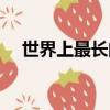 世界上最長的松鼠是什么（巨松鼠介紹）
