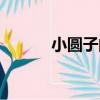 小圓子的做法（怎樣做小圓子）