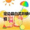定邊縣白泥井鎮(zhèn)中心小學(xué)（關(guān)于定邊縣白泥井鎮(zhèn)中心小學(xué)介紹）
