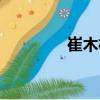 崔木楊（關(guān)于崔木楊簡介）
