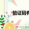 驗證碼有什么用（什么是驗證碼）