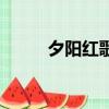 夕陽紅歌詞（夕陽紅歌詞是什么）