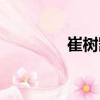 崔樹凱（關(guān)于崔樹凱簡介）