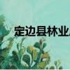 定邊縣林業(yè)局（關(guān)于定邊縣林業(yè)局介紹）