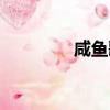咸魚歌詞（咸魚歌曲簡(jiǎn)介）