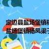 定邊縣鹽場(chǎng)堡鎮(zhèn)楊鳳渠子村扶貧互助資金協(xié)會(huì)（關(guān)于定邊縣鹽場(chǎng)堡鎮(zhèn)楊鳳渠子村扶貧互助資金協(xié)會(huì)介紹）